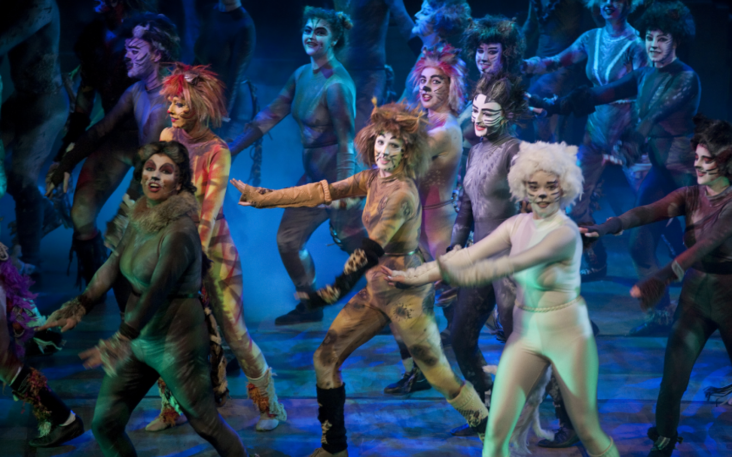 A stage performance of the musical Cats. 
