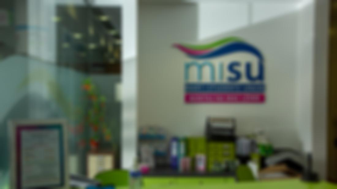 MISU Support Desk
