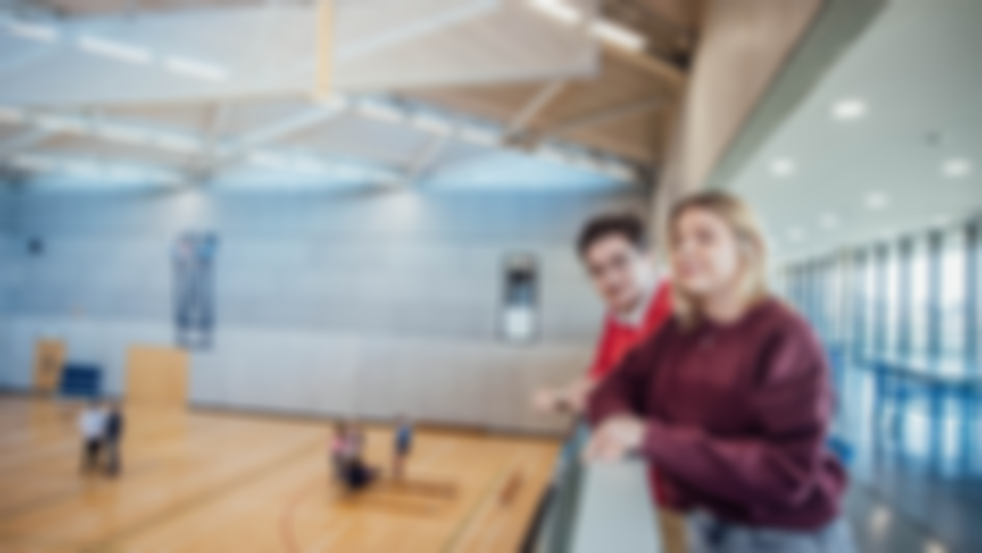 Two people overlooking the basketball court in Tailteann