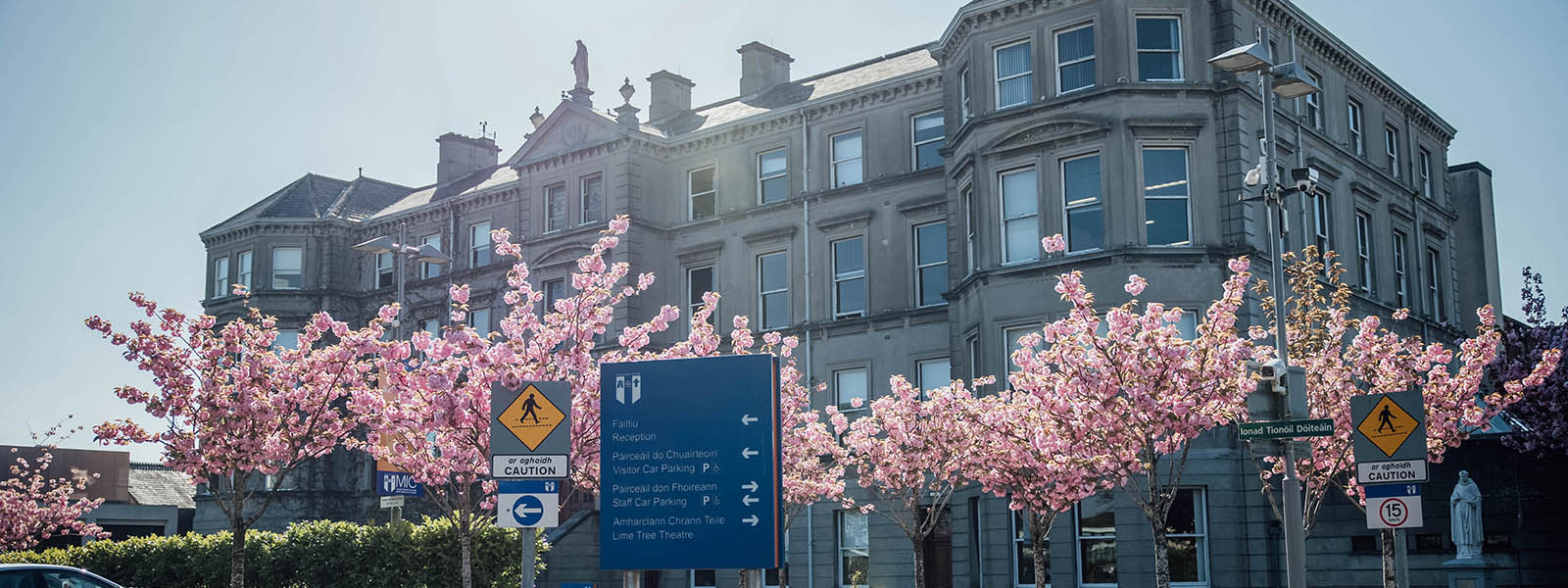 MIC Foundation Building exterior with cherry blossoms in bloom.