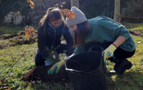 Two female students planting trees
