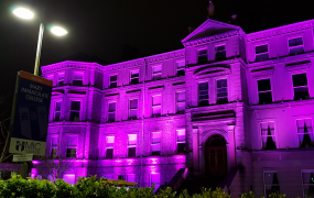 MIC Foundation building lit up in purple