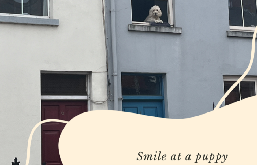 A friendly Limerick resident