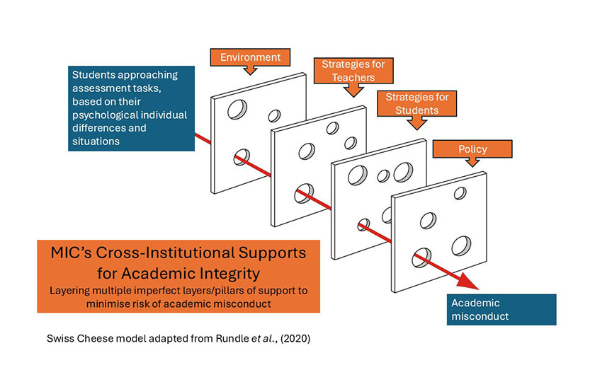 Cross-Institutional Supports for Academic Integrity