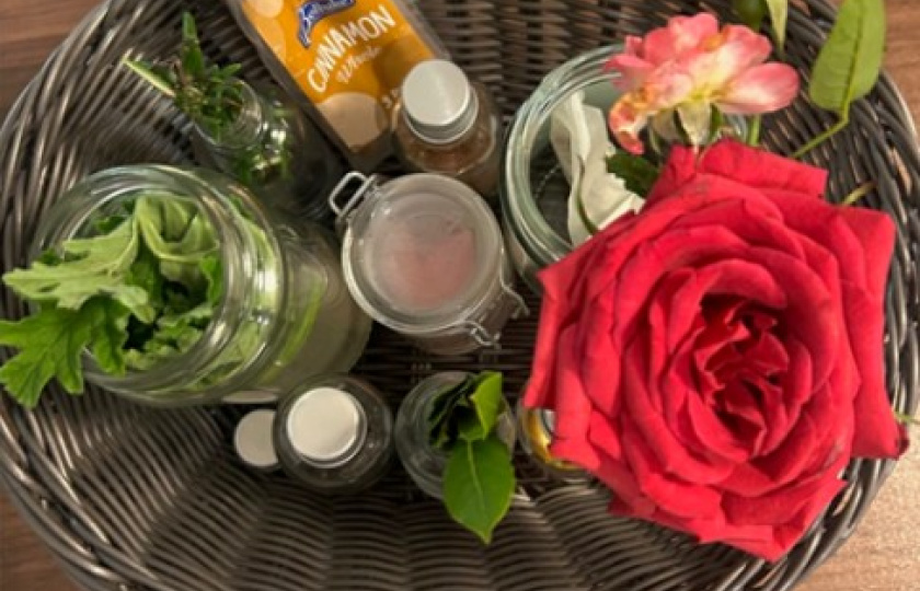 Examples of sensory and sustainable activities