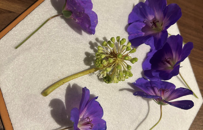 Flower pressing