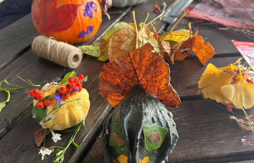 Examples of sensory and sustainable activities