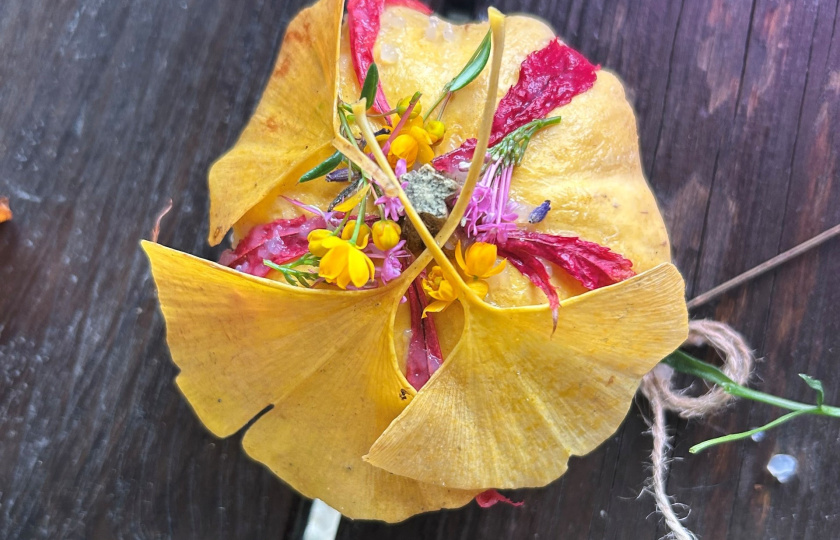 Examples of sensory and sustainable activities