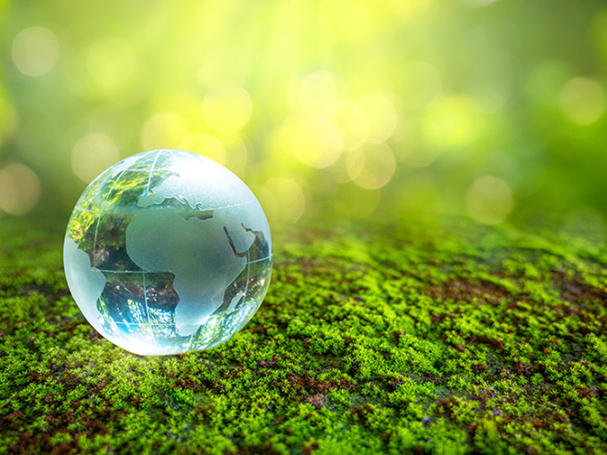 Glass globe on greenery background