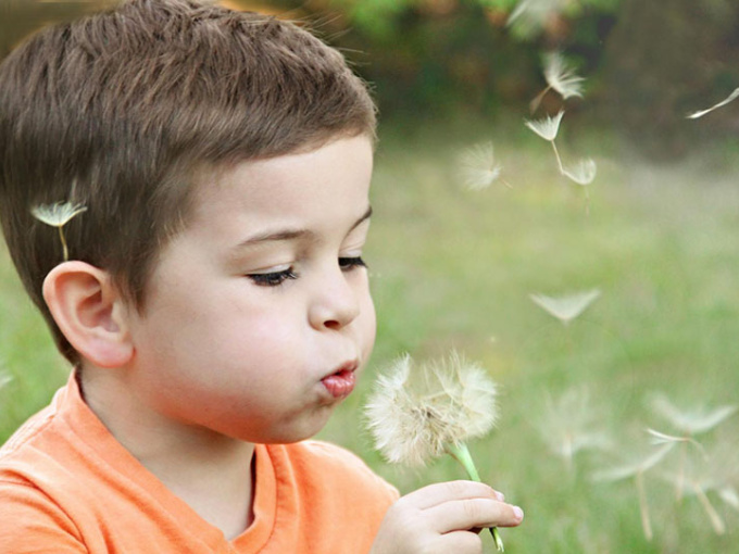 Child blowing dandeline seeds